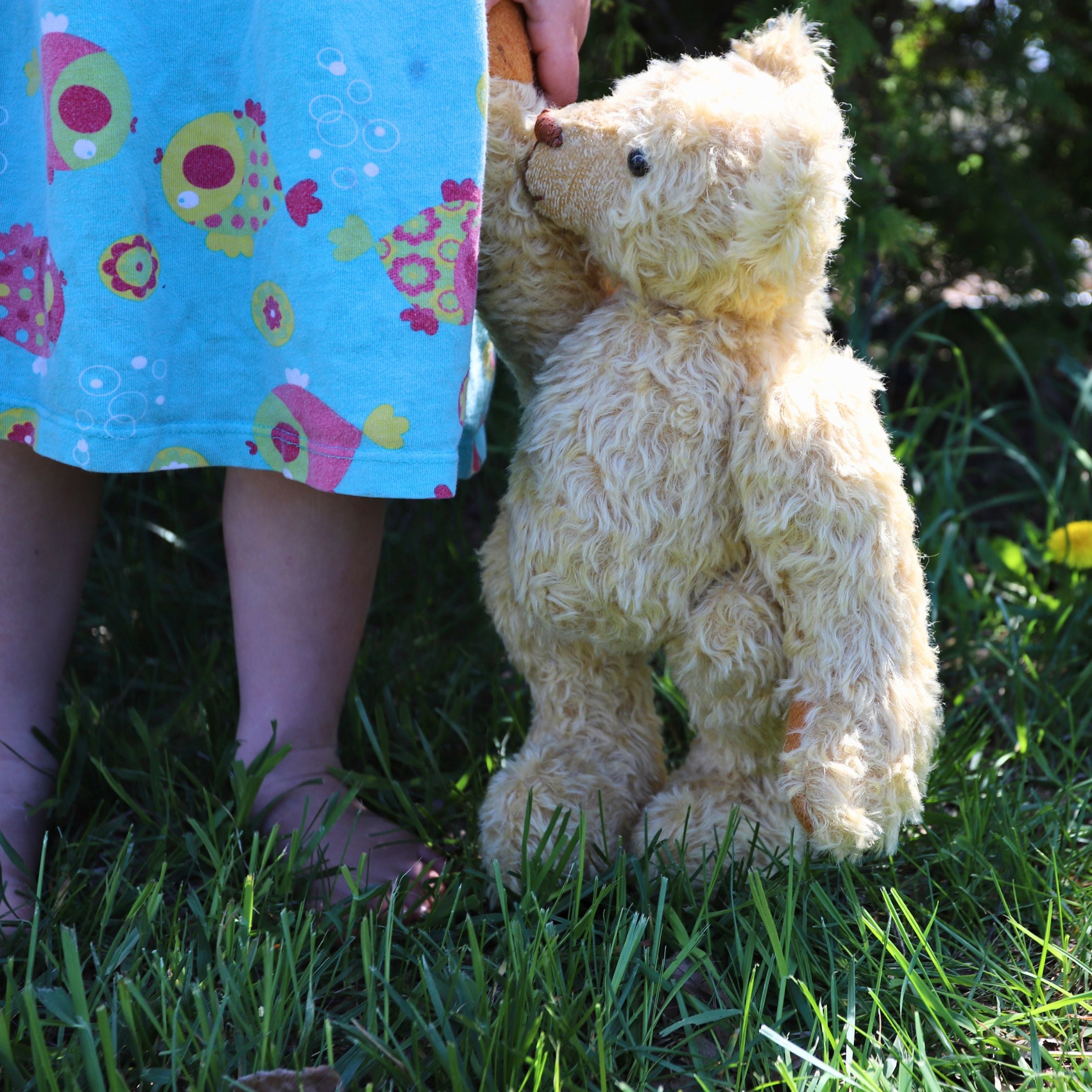 The Quiet Life Farm Teddy Mini Course