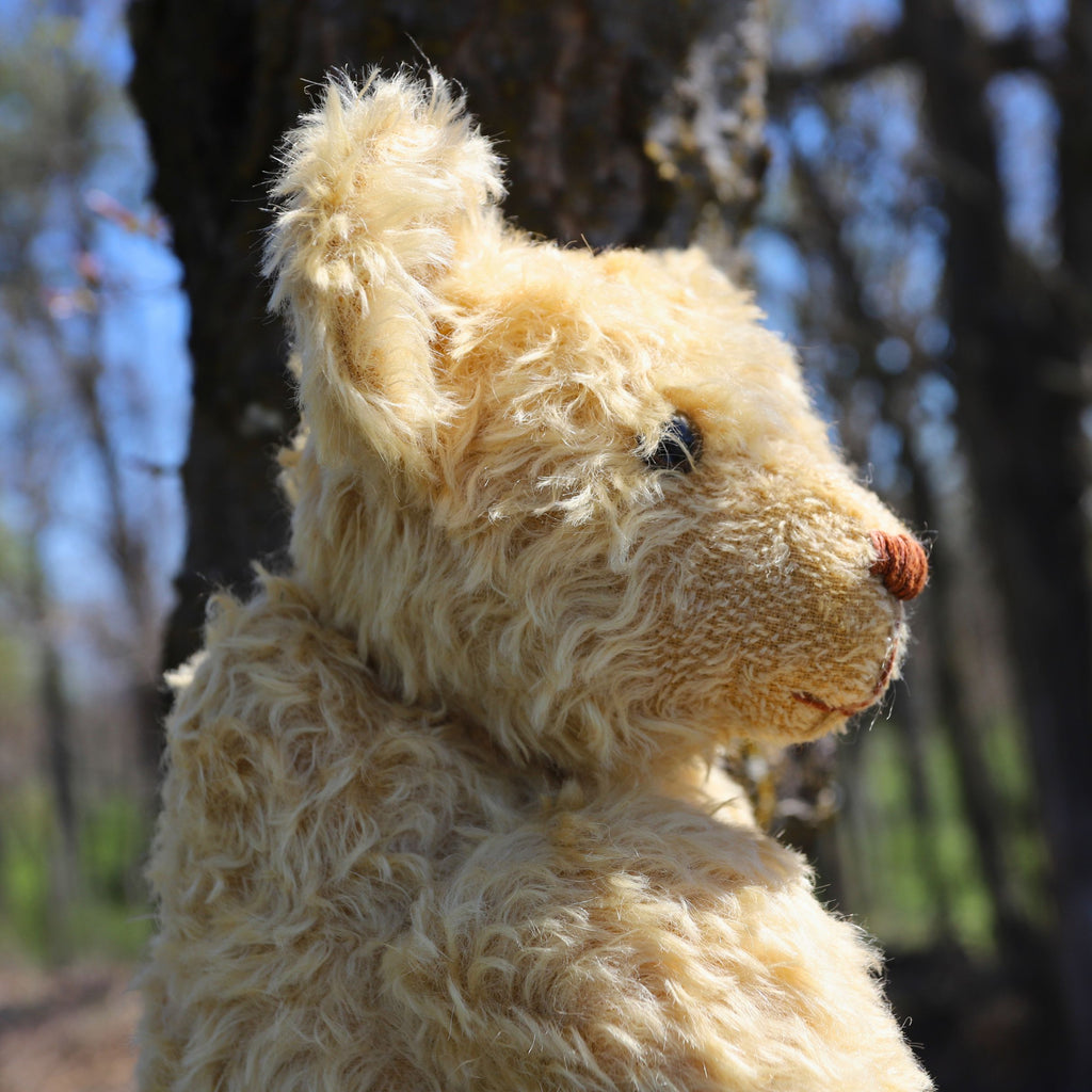 The Quiet Life Farm Teddy Mini Course