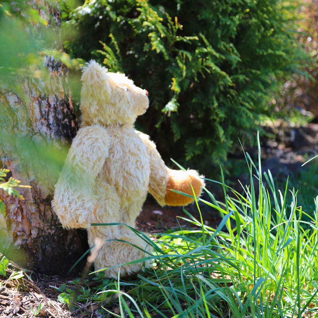 The Quiet Life Farm Teddy Mini Course