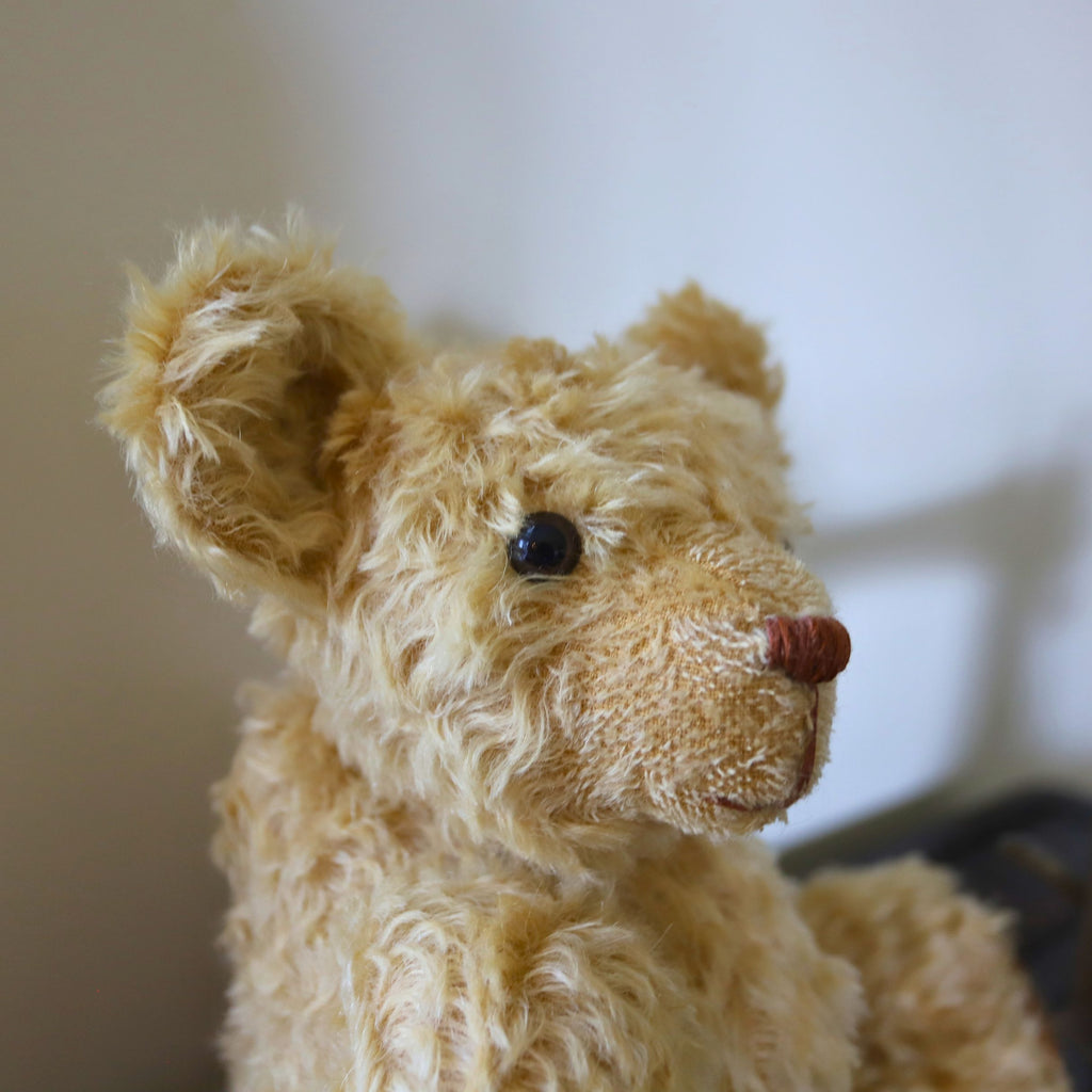 The Quiet Life Farm Teddy Mini Course