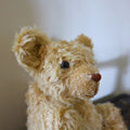 The Quiet Life Farm Teddy Mini Course (PDF Pattern Included)